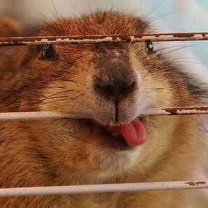 Meet your Posher, Nathan